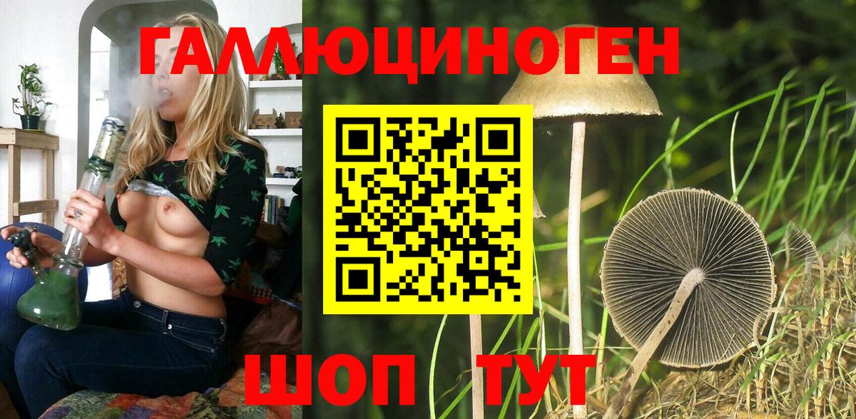 Кисловодск  Галлюциногенные грибы ЛСД  Вход с VPN 